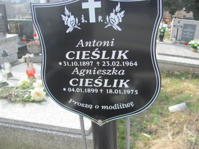 Agnieszka Cieślik 1899 Wieprz - Gierałtowice - Grobonet - Wyszukiwarka osób pochowanych