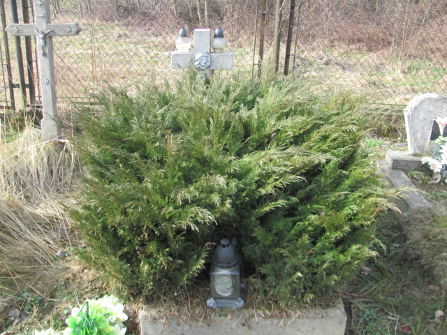  NN Wieprz - Gierałtowice - Grobonet - Wyszukiwarka osób pochowanych