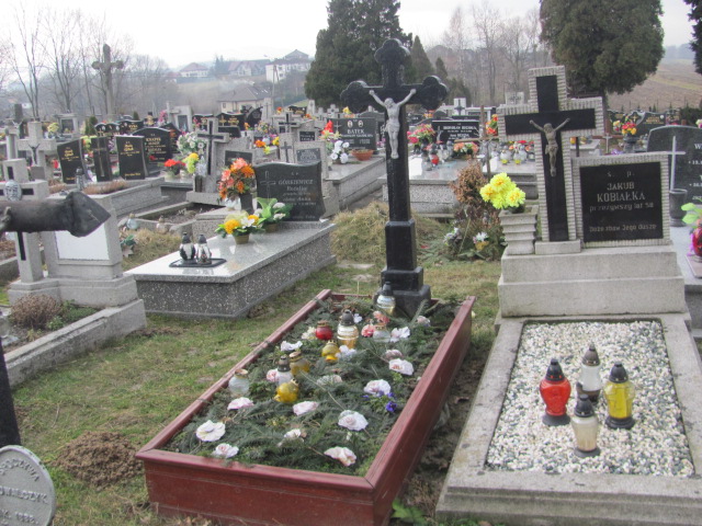 Grób Alojzy Szczelina